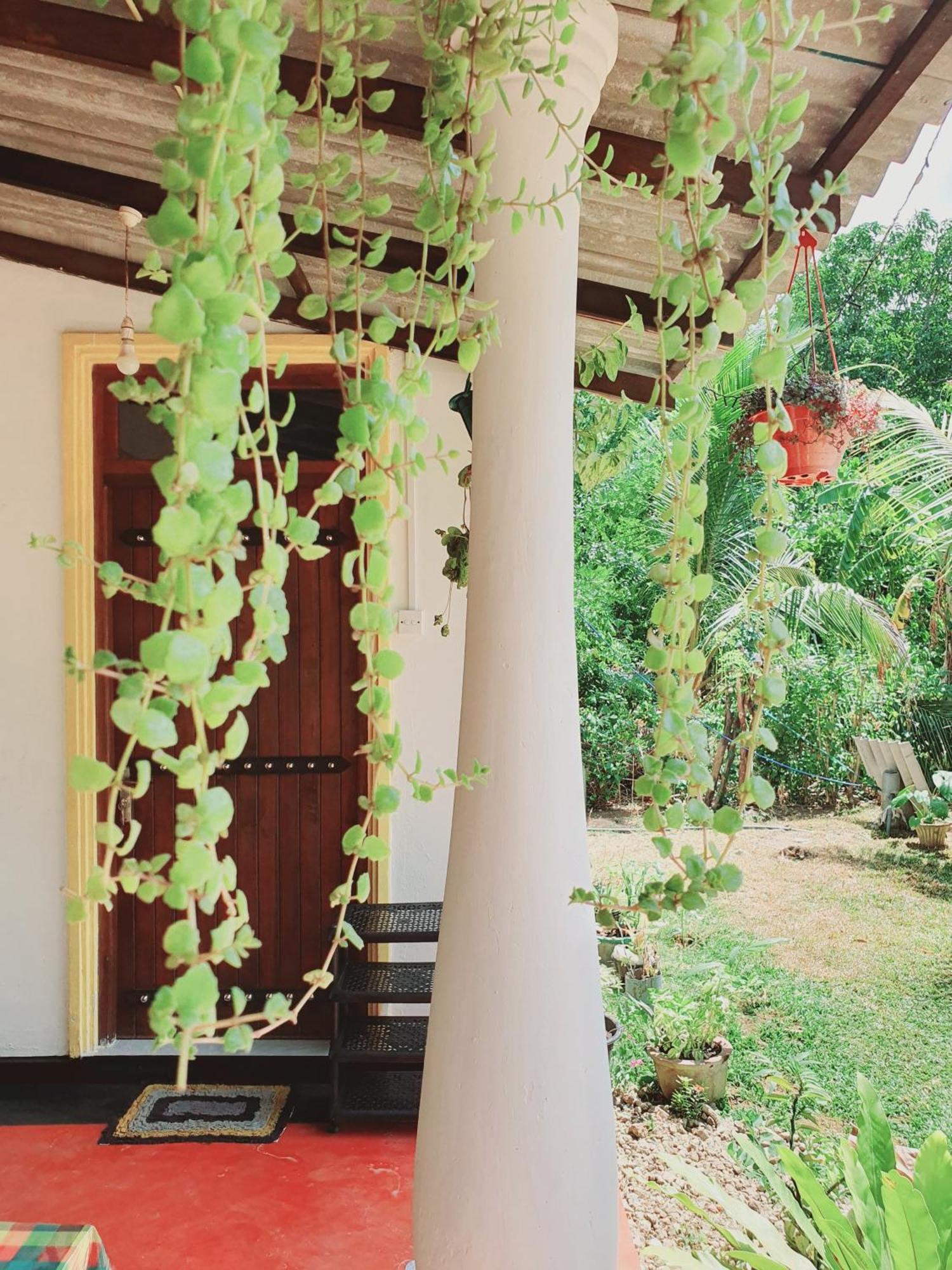 Sanu Home Stay Sigirîya Extérieur photo